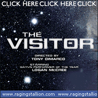 The Visitor at Raging Stallion